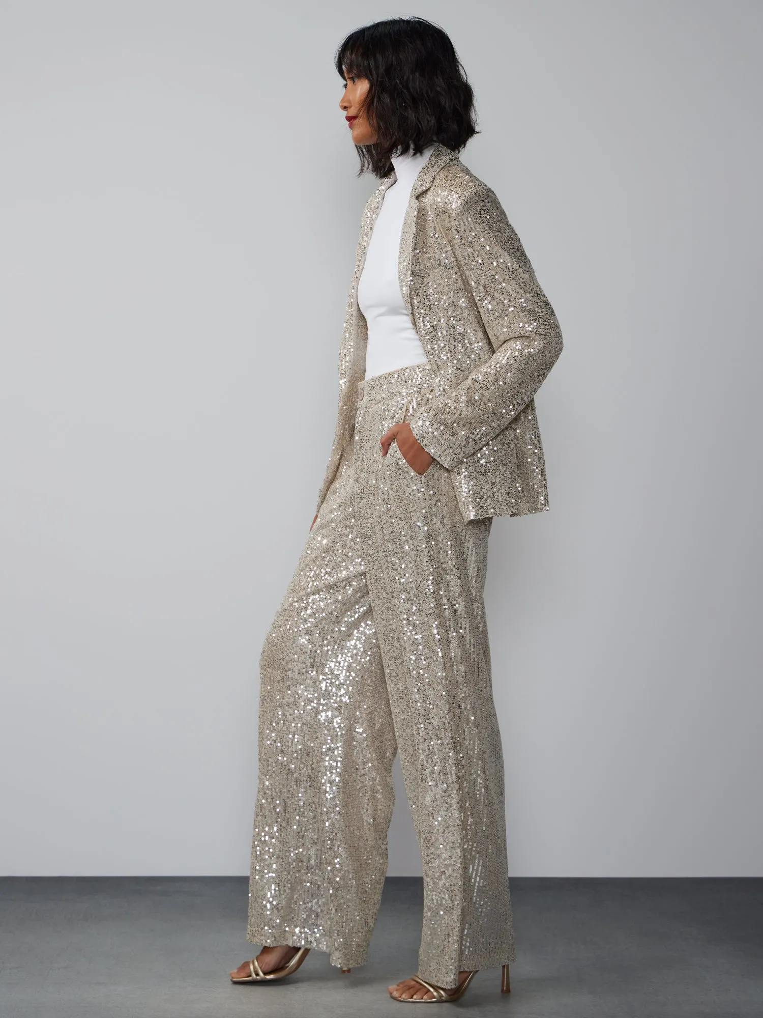 Mid Rise Sequin Embellished Pant