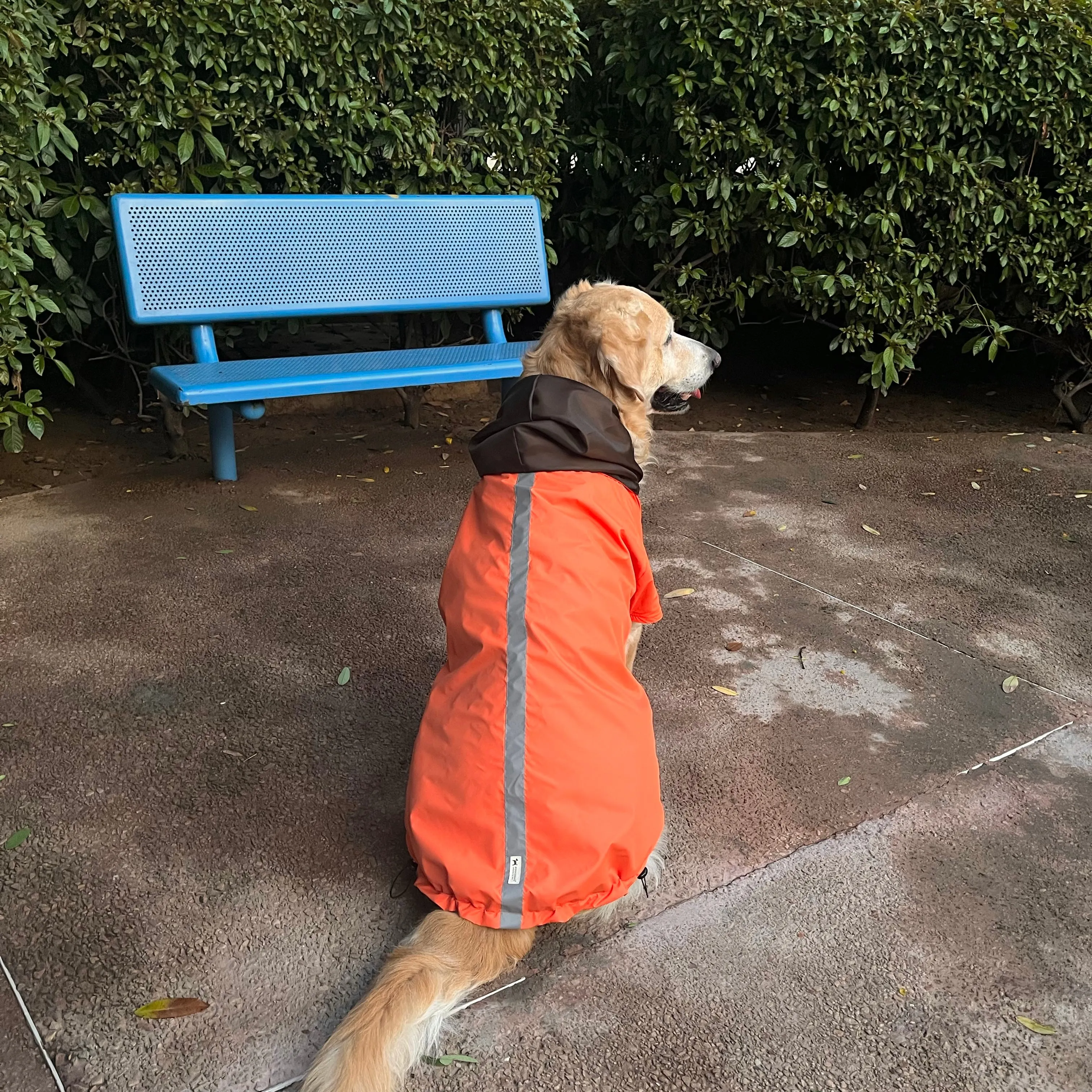 PoochMate Two Toned Rain Coat - Orange & Coffee