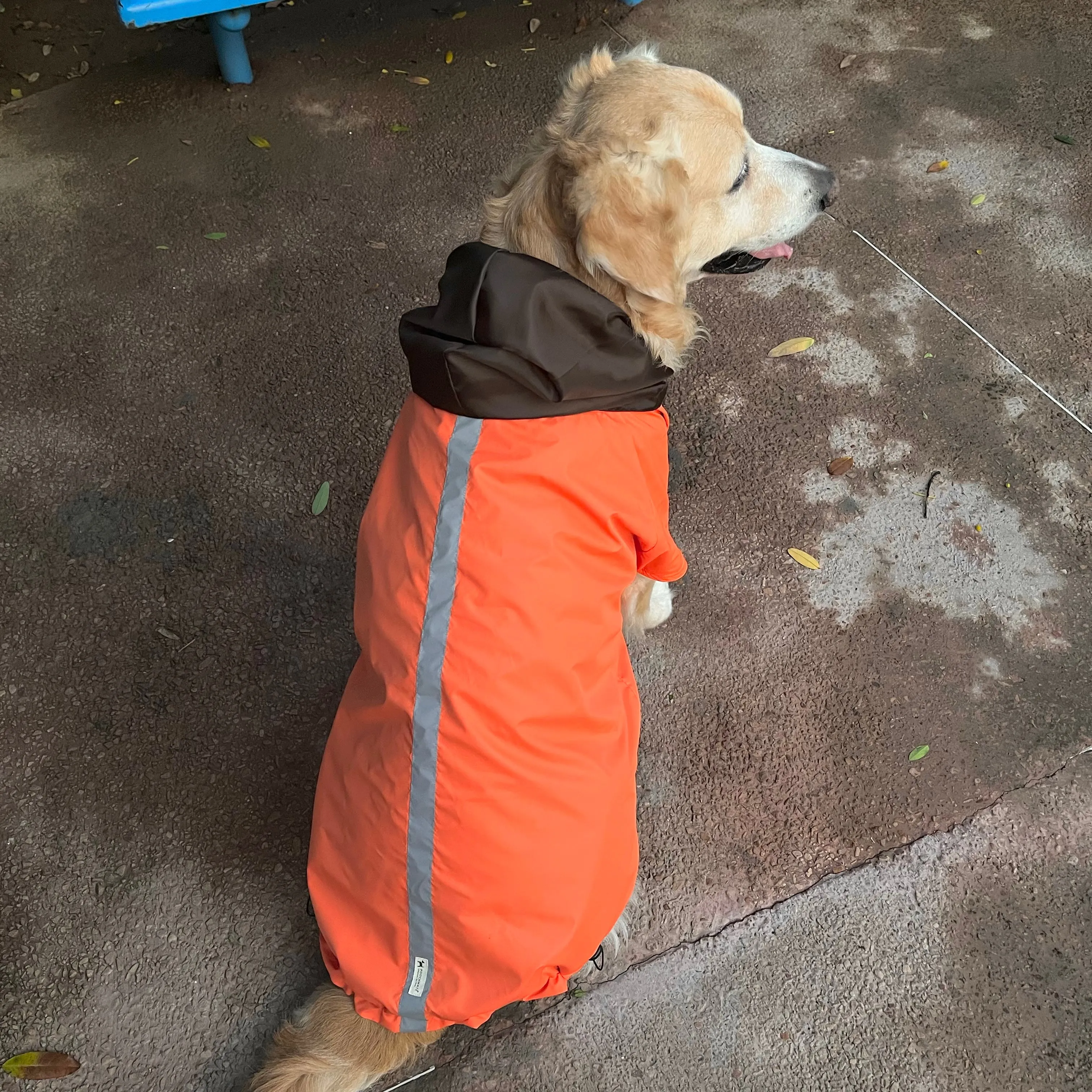 PoochMate Two Toned Rain Coat - Orange & Coffee