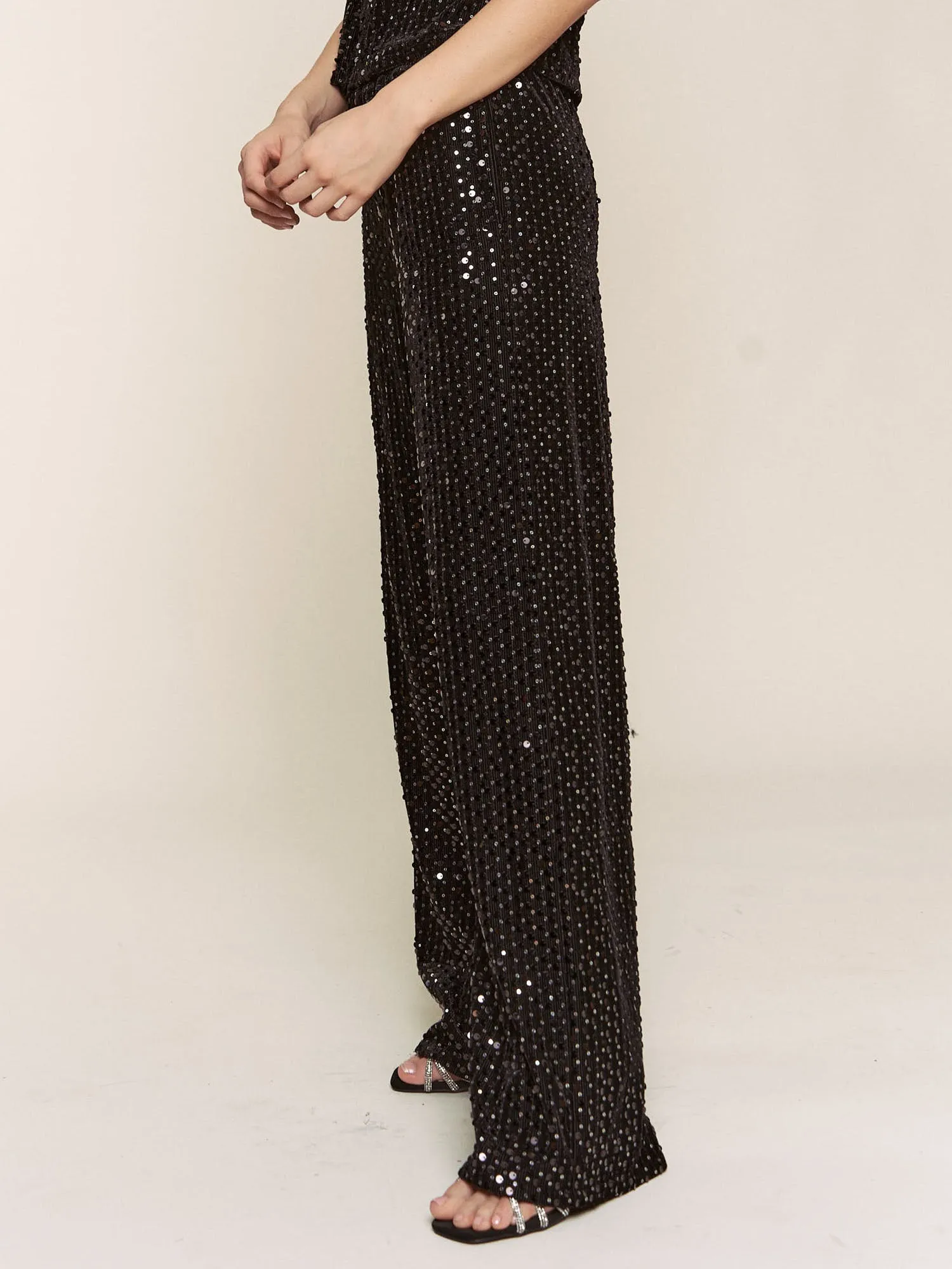 Sequin Straight Leg Pants